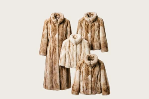 阜阳回收皮草衣服